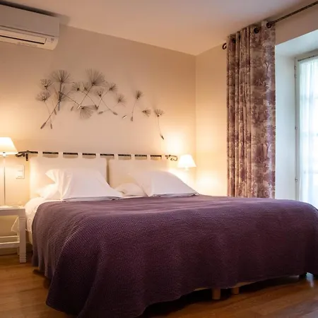 Le Vieux Pont 호텔 3*