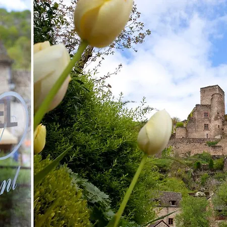 Le Vieux Pont 3* Belcastel (Aveyron)