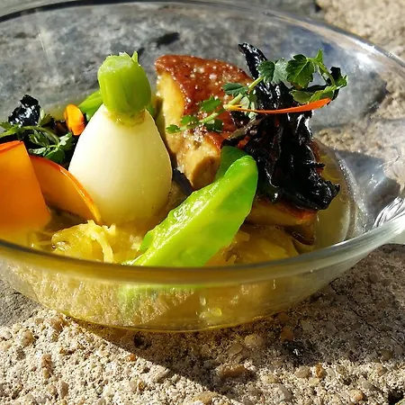 Le Vieux Pont 3* Belcastel (Aveyron)