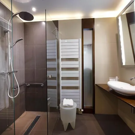 Hotel Le Vieux Pont 3*