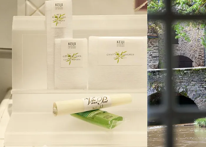 Hotel Le Vieux Pont 3*