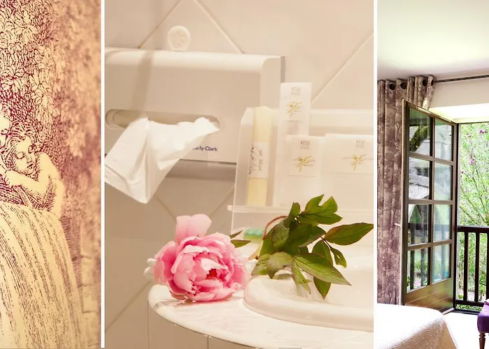 Otel Le Vieux Pont 3*