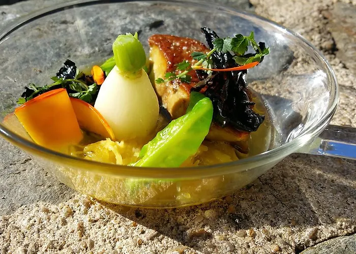 Le Vieux Pont 3* Belcastel (Aveyron)