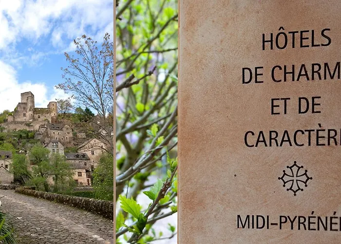 Hotel Le Vieux Pont 3*